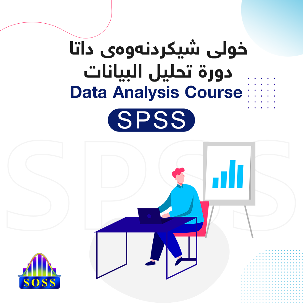 Conclusion of the Training Course on Data Analysis in Erbil – Intermediate Level